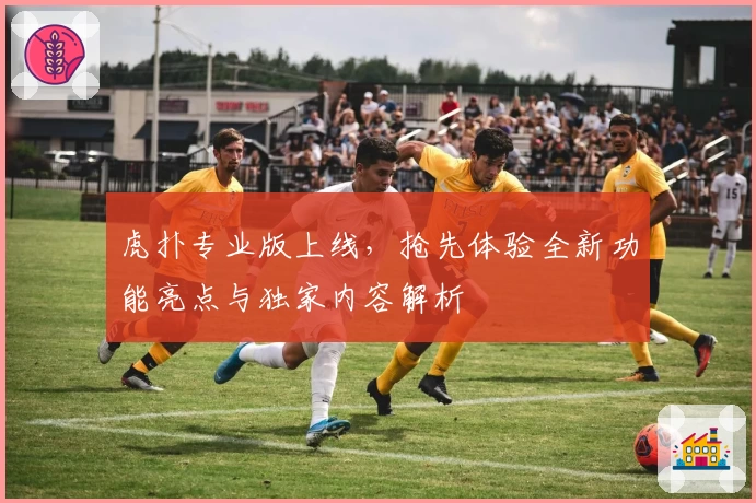 虎扑专业版上线，抢先体验全新功能亮点与独家内容解析